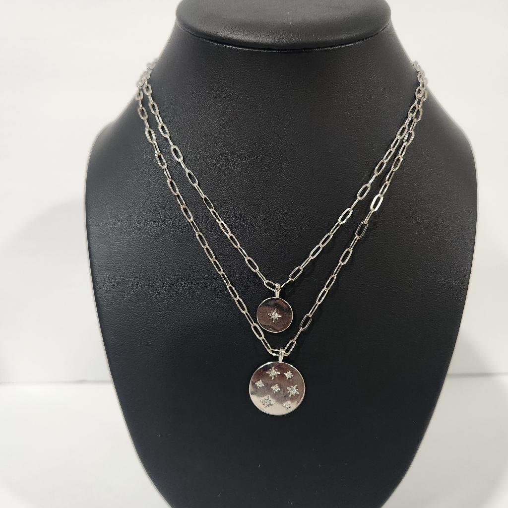 Nwt Layered Silver Tone Necklace 20$